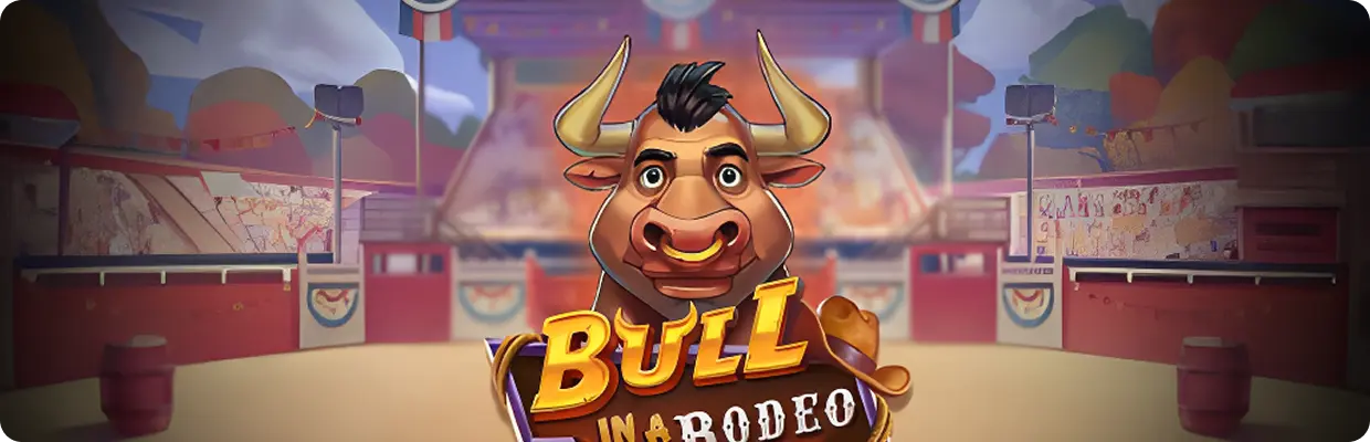 Bull In a rodeo